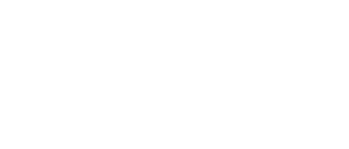 DVN Group